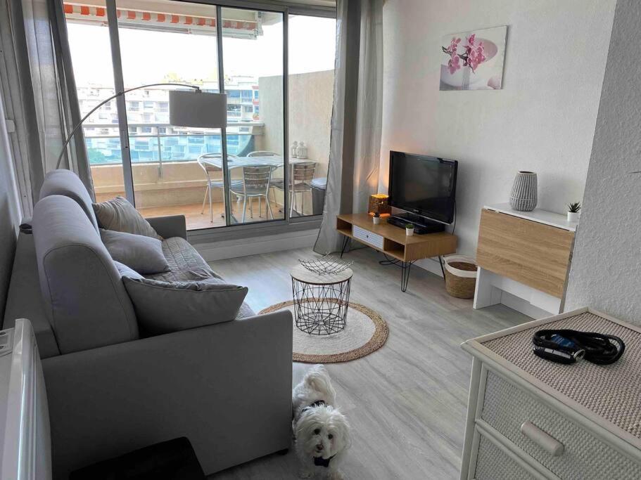Joli Studio Vue Mer Et Port موجيو المظهر الخارجي الصورة